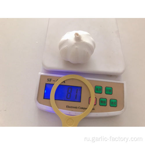 Чисто белый чеснок 6,0 см-10 кг